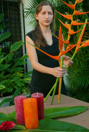Heliconia lutea and other exotic beatiful flowers grace many wedding parties at the Hacienda