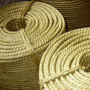 Yucatan is famous for the production of ropes made with the natural fiver of Agave fourcroydes "Henequen" 