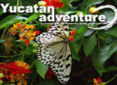 Yucatan Adventure travel guide