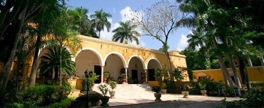 Dioon Cycad palm tree near the beautiful Colonial Main Mansion of Hacienda Chichen Resort, an Eco-Cultural Spa Getaway, the ideal Green Maya Vacation Spa Resort.