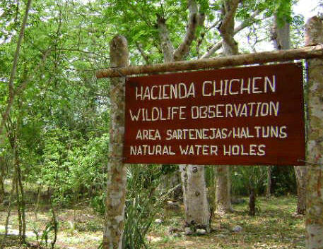 Mayan Wildlife Reserve - Yucatan Jungle Resort 
