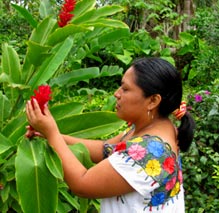 Mayan Healer Manuela Moo, an experience Organic Mayan  Spa Therapist.