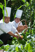 Mayan Cooking at its best with Chef Josue Cime of Hacienda Chichen Resort