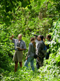 Yucatan Green Hotels: Stay at Hacienda Chichen and enjoy great birding and other wonderful eco-cultural activities
