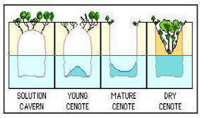 Yucatan's Ecoturism: A Cenotes' formation cycle.
