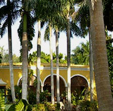 Hacienda Chichen has a fabulous collection of Royal Palms and other exotic flora in its gardens and private Maya Jungle Reserve
