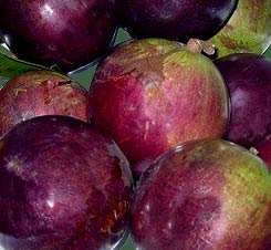 Caimito is a Star Apple tropical fruit flavor makes great smoothies