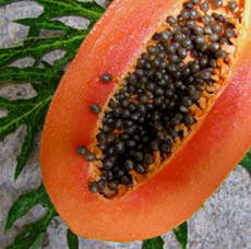Ripe Mexican Maradol Papaya are grown at Hacienda Chichen's Organic Gardens and served at the hotel